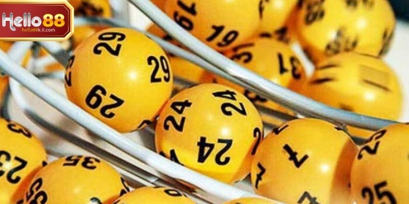 Bảng thống kê và kết quả trực tuyến trên nền tảng